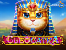 Cat casino. Live casino house login.43